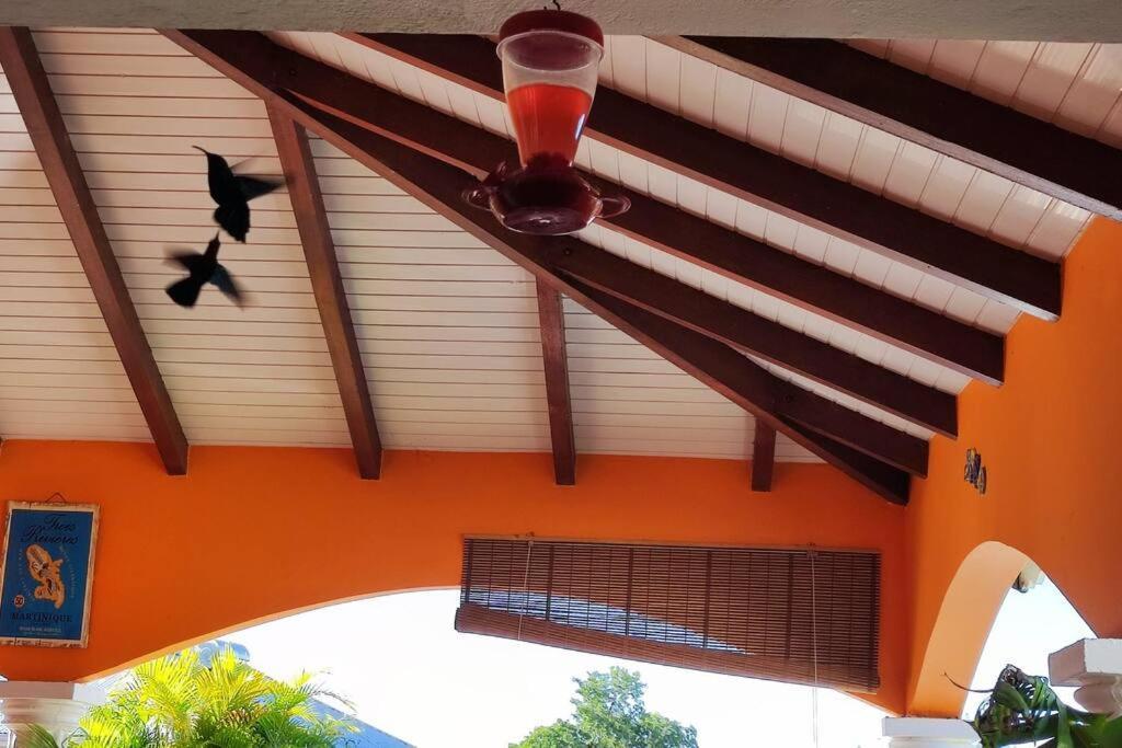 Villa Anolis, Sainte Luce, Piscine, Vue Mer, 4* Extérieur photo